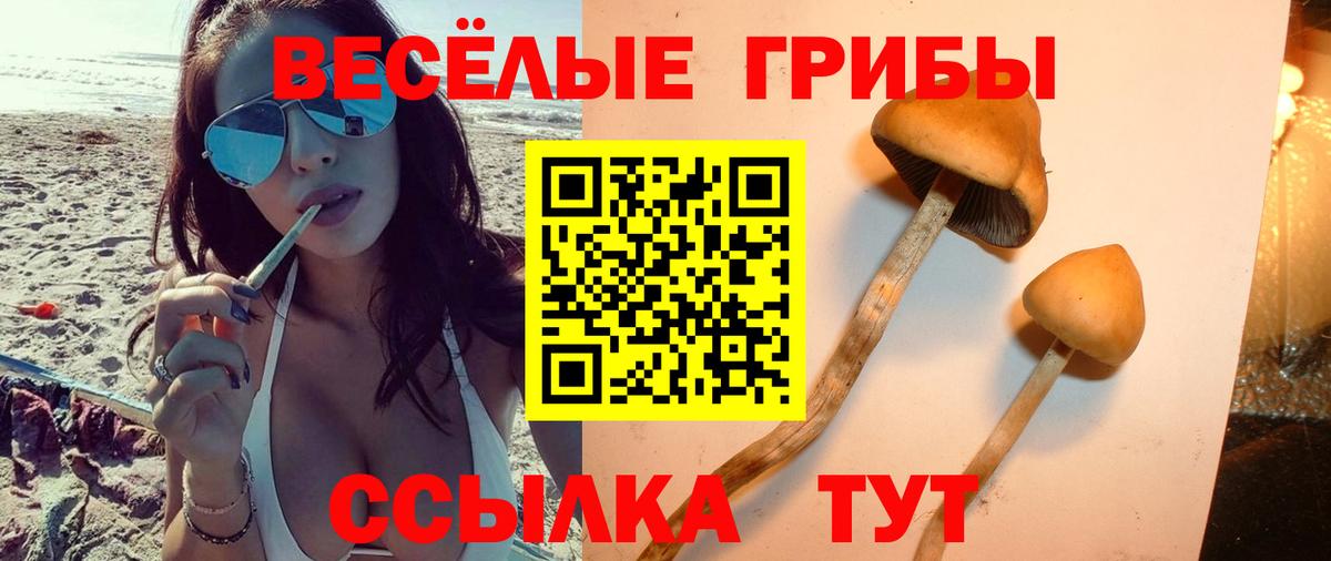 Галлюциногенные грибы мухоморы Лангепас