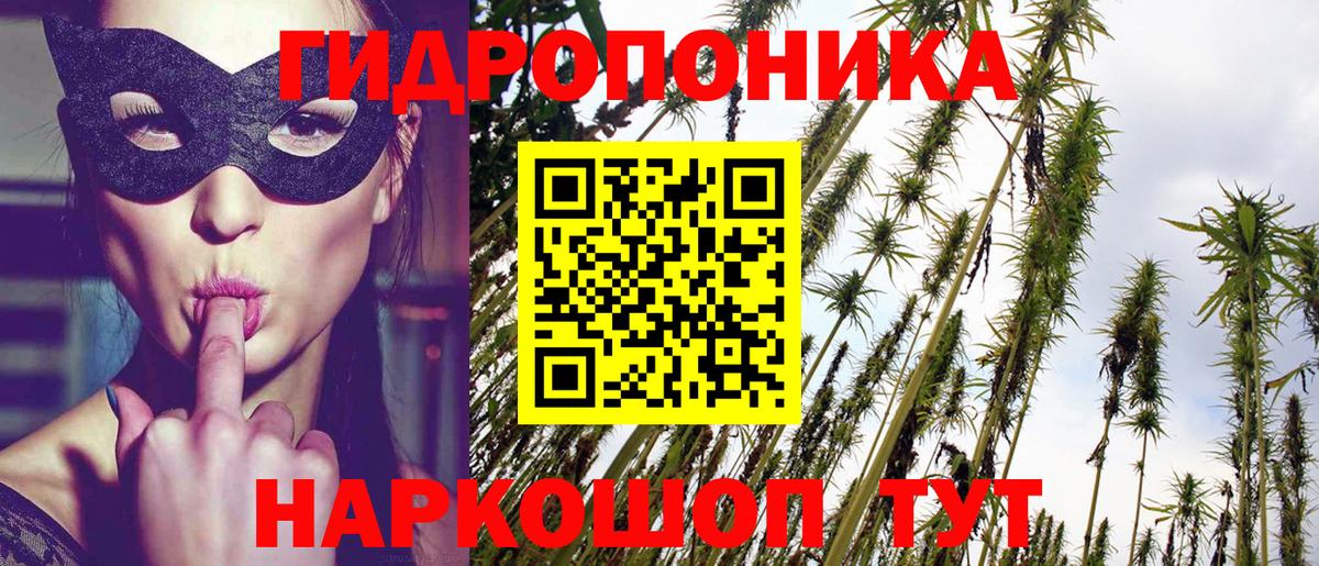 Бошки марихуана семена  Канабис ГИДРОПОН  Лангепас  Канабис планчик  Вход с VPN 